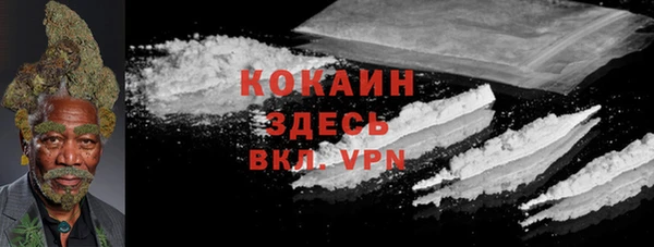 дживик Осташков