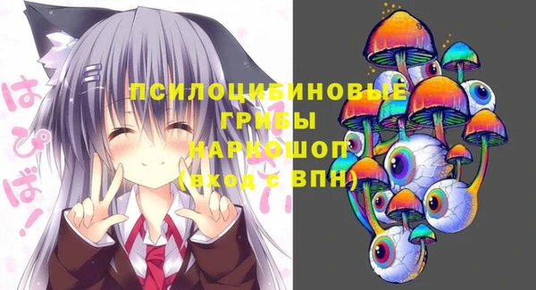 дурь Осинники