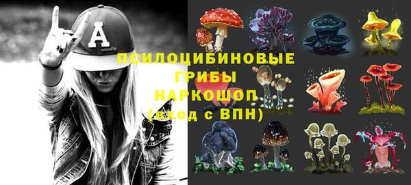 дурь Осинники