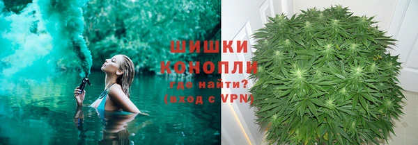 ALPHA PVP Остров