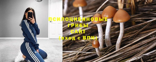 mix Абаза