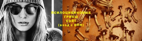 дурь Абинск