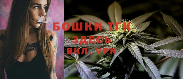 дурь Осинники