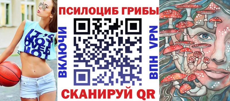 Галлюциногенные грибы MAGIC MUSHROOMS  где продают   Лакинск 